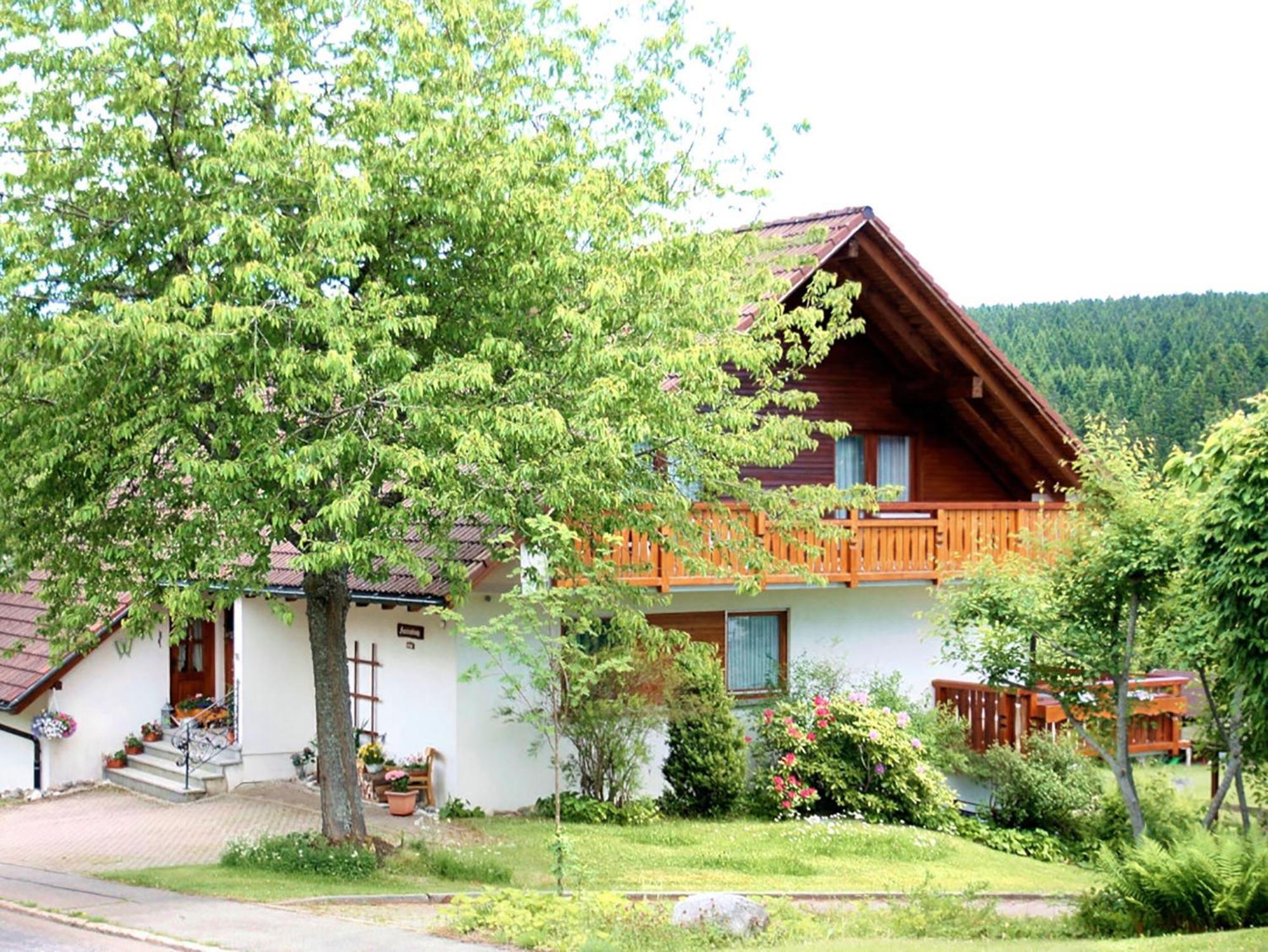 Haus Doerflinger Frau Marianne Apartment Schluchsee Exterior foto